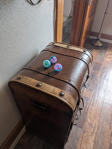 Cat toys placed around Room 16 at Hotel Vendome
